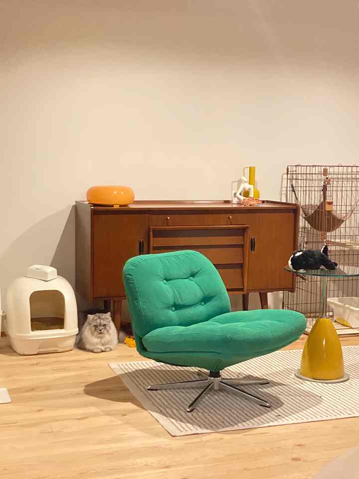 Natural tone living room featuring a green armchair, wooden sideboard, and cat accessories creating a cozy space