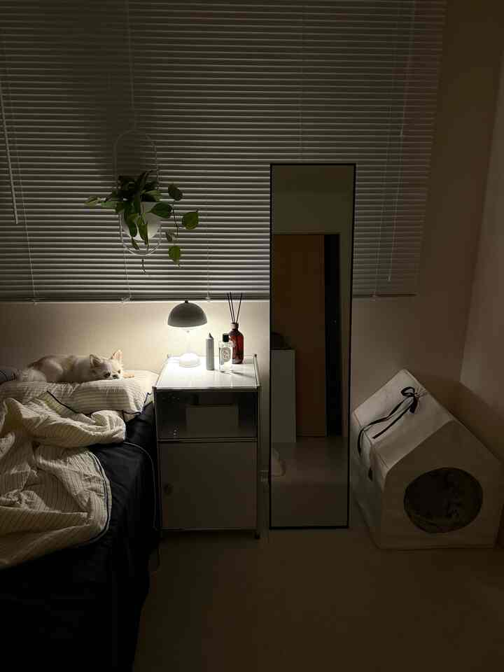 白を基調とした寝室、左のベッドに小さな犬が寝そべり、中央には白いナイトテーブルとランプが配された落ち着いた空間