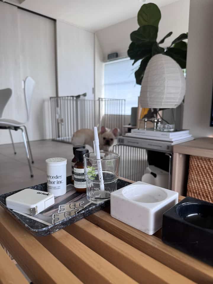 Nordic style living room in harmonious white and wood tones, featuring a pet dog, Akari table lamp, and warm inviting atmosphere