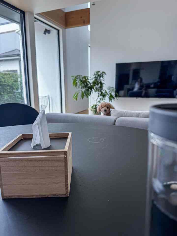 黒い丸テーブルに木製のティッシュボックスが置かれた明るいリビング、グレーのソファの後ろに犬が覗いている