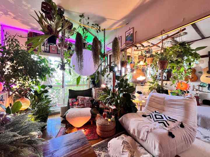 緑豊かな植物と暖かい照明のカフェ風リビング、居心地の良いソファと多彩なクッションが配置された空間