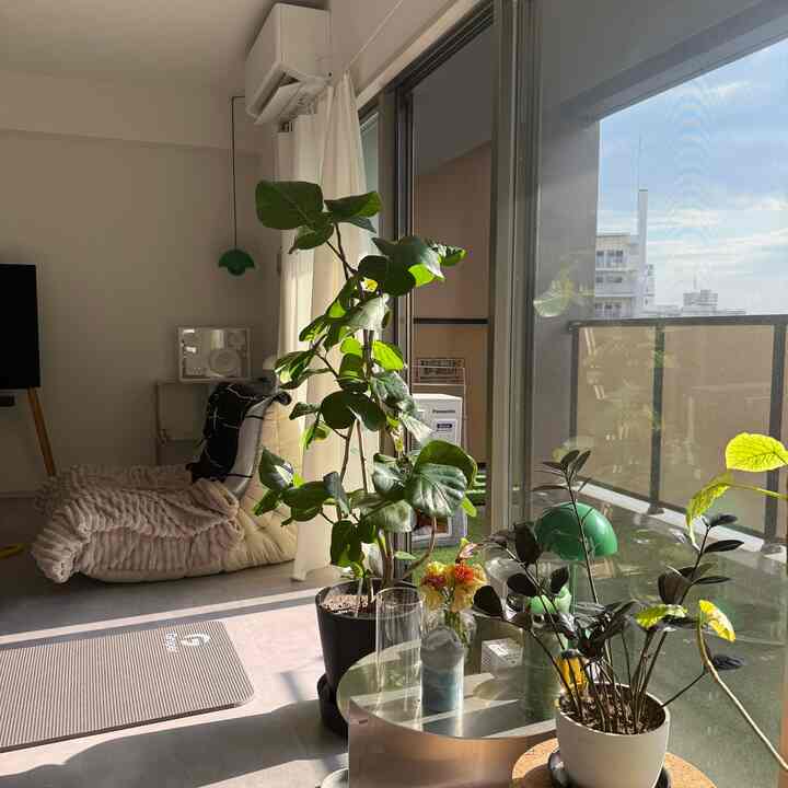 Bright white and green toned living room featuring large leafy plants and a cozy bean bag seating area