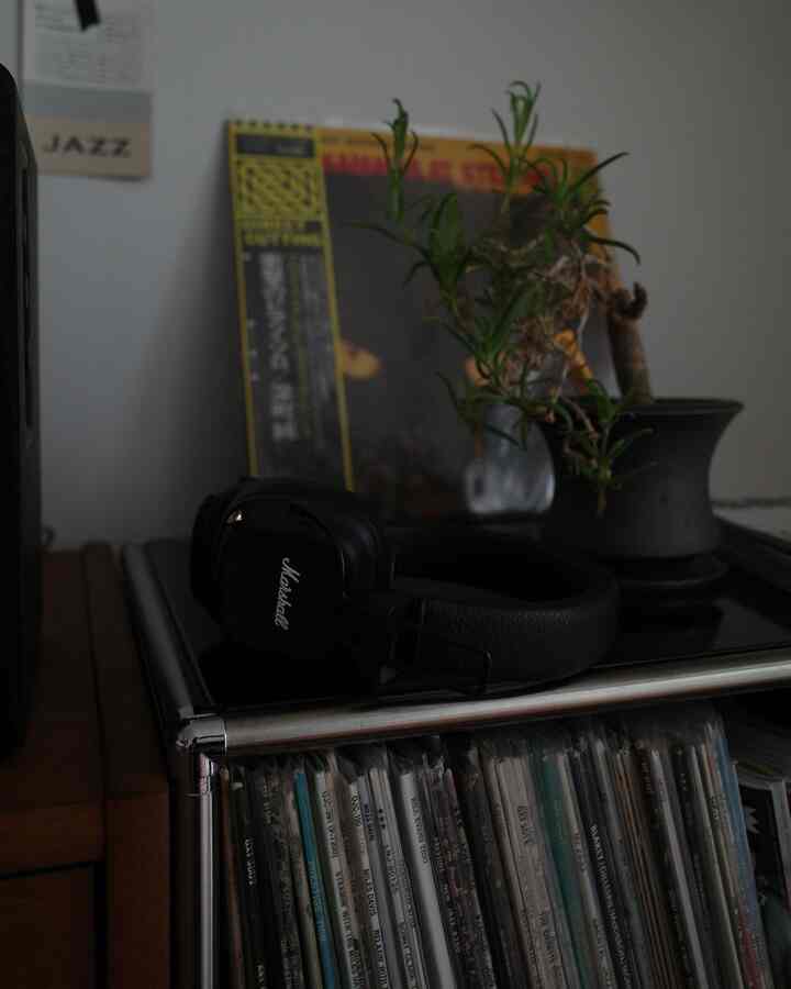 Black and brown toned vintage style record shelf with leather headphones and a plant