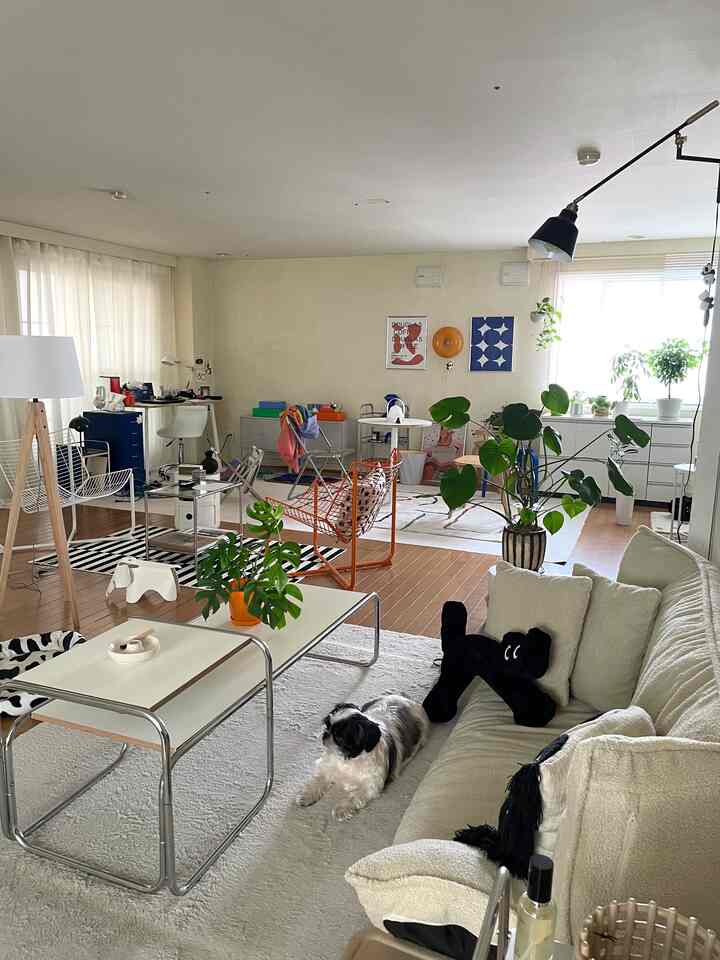 White and beige toned living room featuring a large sofa, coffee table, dog, and plants creating a cozy atmosphere