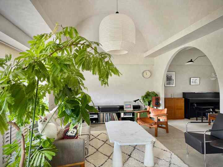 ナチュラルなグレー調のリビング、大きな緑の植物と白いペンダントライトが配置された雰囲気のある空間