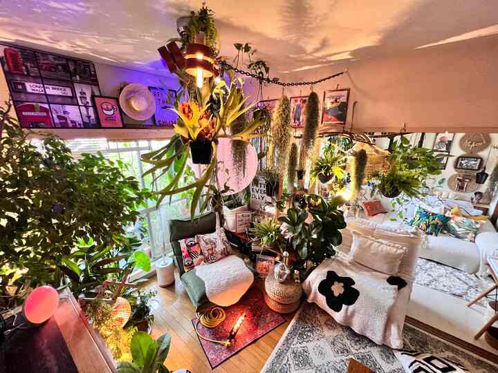 多彩な色合いと植物が溢れるリビング、暖かい照明と多様なソファが配置された印象的な空間