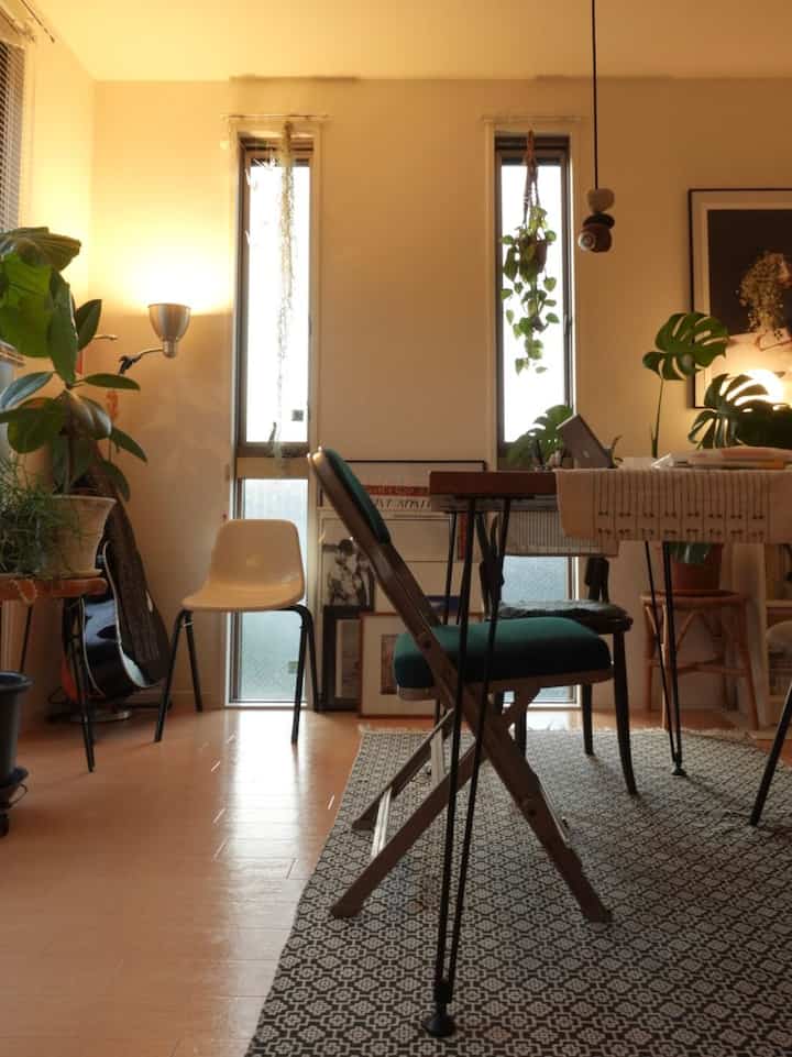 温かみのあるアイボリーの壁とブラウンの木目調フローリングの1LDKリビング、中央にダイニングテーブルと多様な植物が配置された印象的な空間