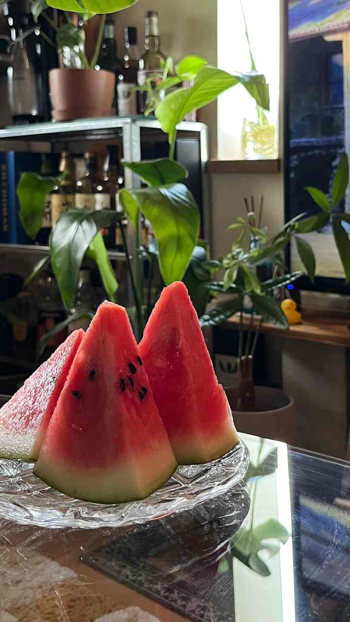 Sambil menonton anime, saya menyiram tanaman pot dan membersihkannya. Saya makan semangka sebagai camilan! 🍉Semangka memang yang terbaik untuk musim panas!

#Ruang Tamu #リビングインテリア #観葉植物 #植物 #植物インテリア #植物のある生活 #カラフルなインテリア #テレビ #グリーンインテリア
