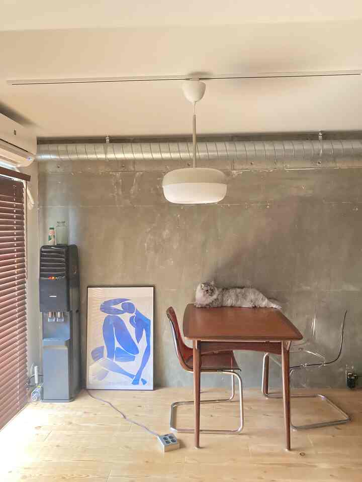 Dining room with brown wood-toned floor and Mid-Century Modern dining table, featuring a cat resting comfortably on the table