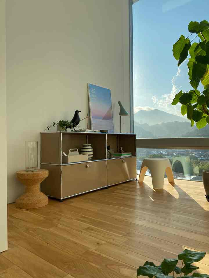 枝物が欲しい🌱

#朝日
#枝物
#living
#interior