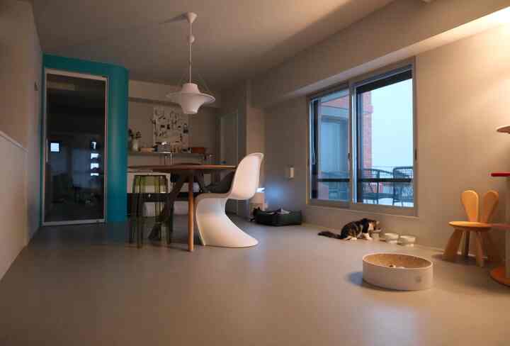 Minimal and modern white and wood-toned dining room featuring a cat near window with pet bed, creating a warm atmosphere