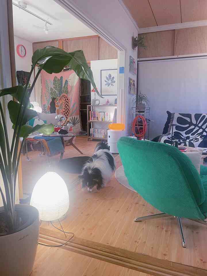 Natural color living room featuring a green recliner, sofas, table lamp, and a dog creating a cozy atmosphere