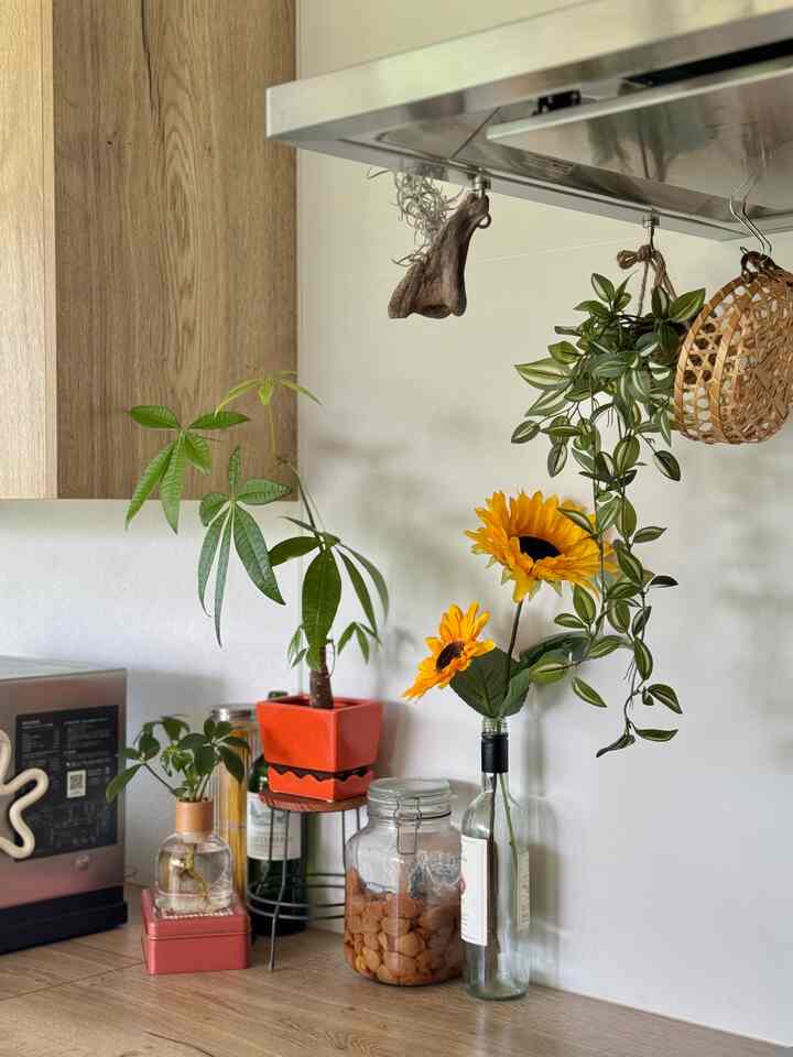 This is also for the kitchen 🪴

I got some artificial sunflowers at Daiso 🌻
One was 110 yen, the other was a little longer for 220 yen ✨
It's summery and cute ☺️

#sunflower #造花 #ダイソー #キッチン
#kitchenaccessories #インテリア