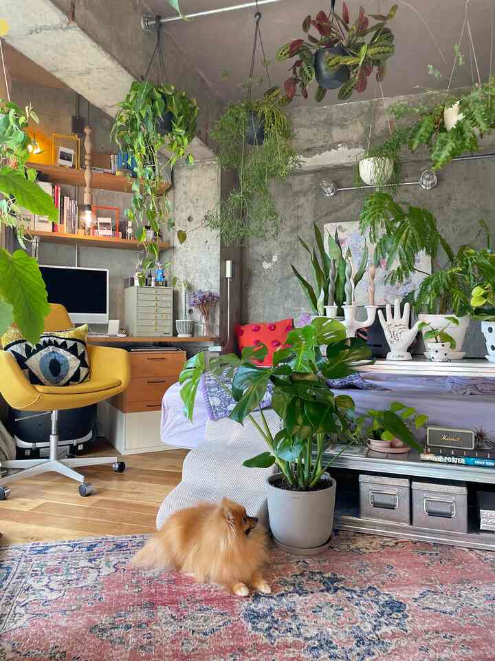 Natural living room with green plants and vintage rug, exposed concrete walls, featuring a yellow armchair and a pet dog in a cozy atmosphere