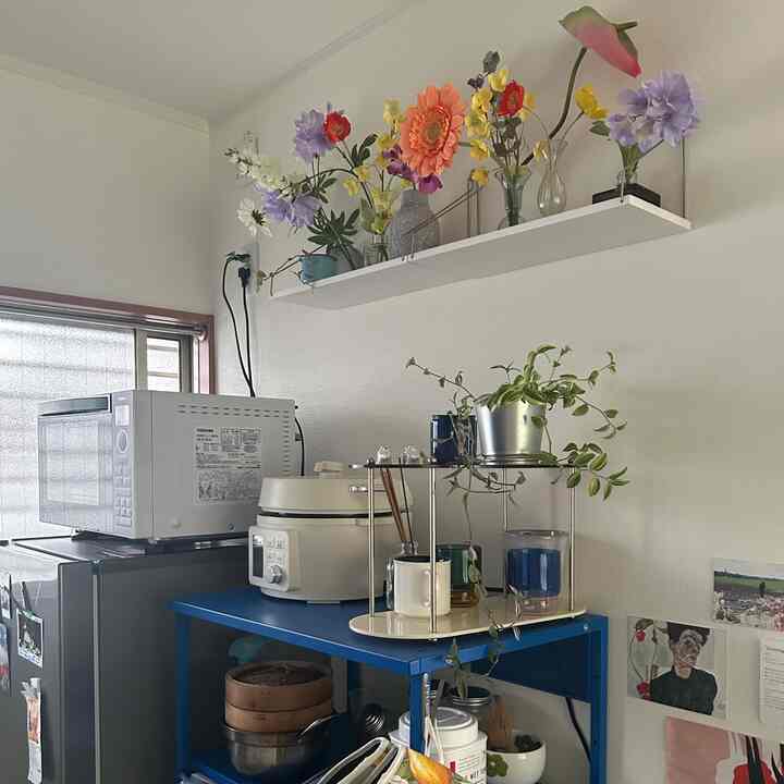 白い壁のキッチン、カラフルな花瓶と植物が並ぶ青い棚が配置された雰囲気のあるコンパクトな空間