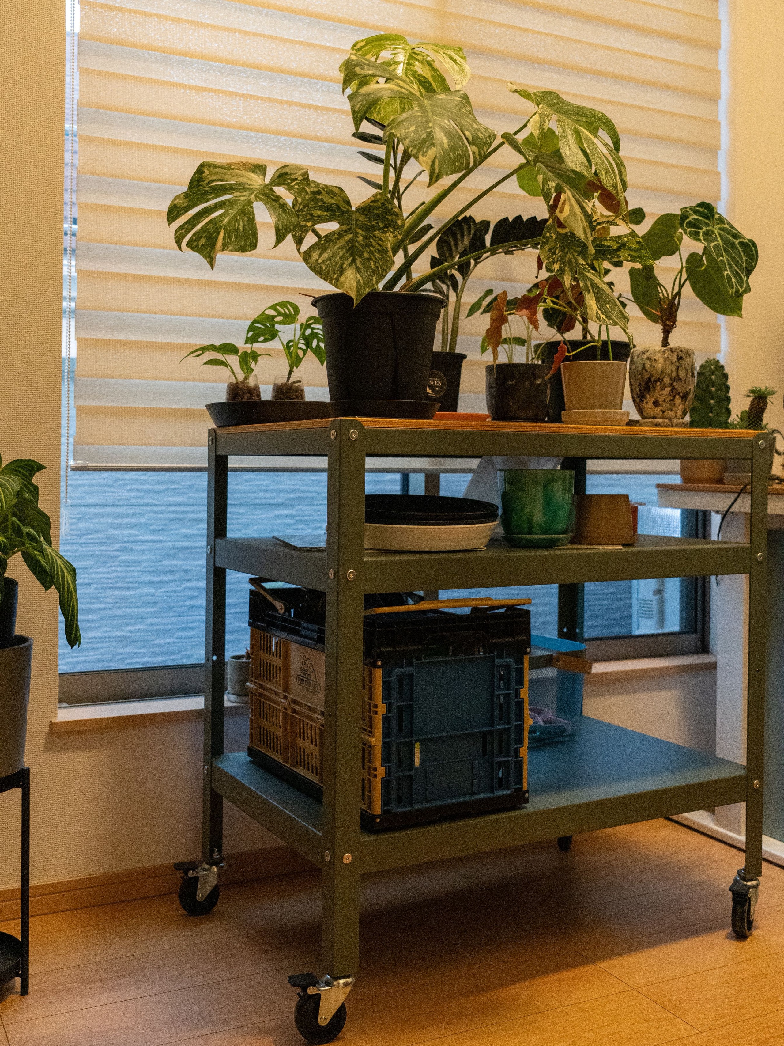IKEA BROR ブロール ワゴン, 85x55 cm［2色］ | Lockable Casters