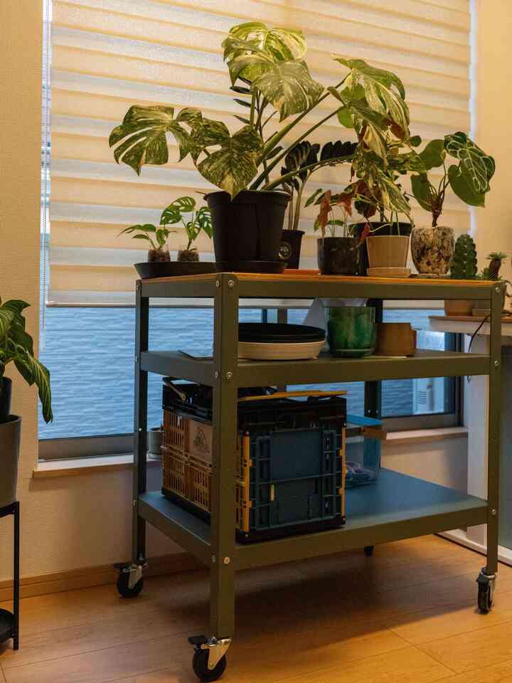 エネルギーチャージ中🪫

#作業スペース #作業台 #ワゴン #観葉植物 #IKEA棚 #DULTON 