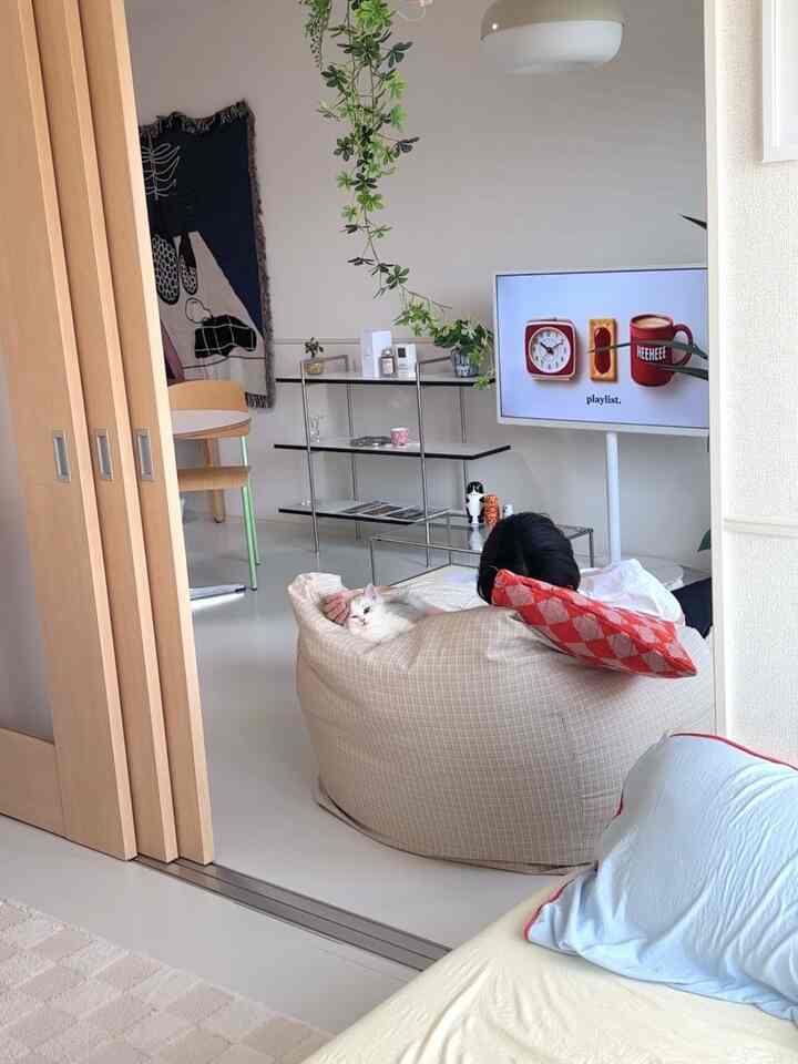 明るい色調のリビング、柔らかなベージュのビーンバッグと白い猫が配置されたシンプルで自然な雰囲気のインテリア