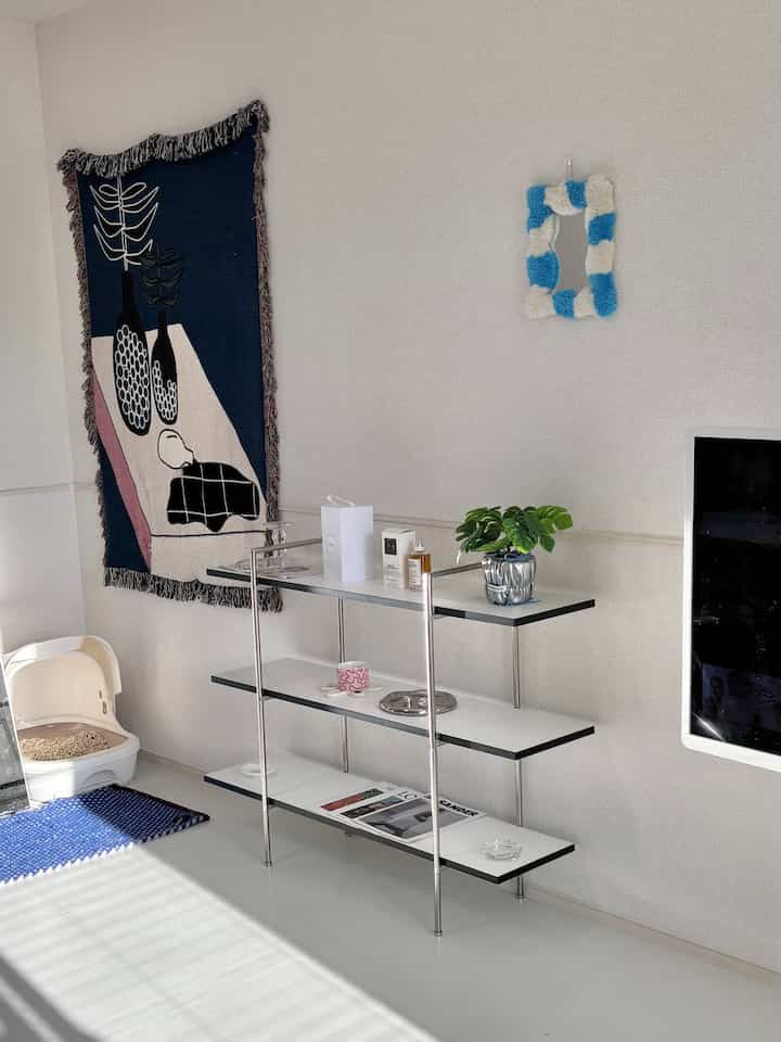 白とシルバーのトーンが広がる狭い部屋、シルバーの棚とペット用トイレが配置されたミニマルでナチュラルな雰囲気のあるインテリア