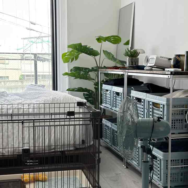 ライトグレーとホワイトの寝室、犬用ケージとスチール棚が配置された落ち着いた雰囲気のインテリア