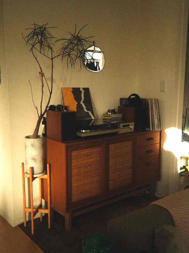 #ミッドセンチュリーモダン #ミッドセンチュリー #カラフル #観葉植物 #リビング #フィギュア #1LDK #北欧 #midcentury #roomtour