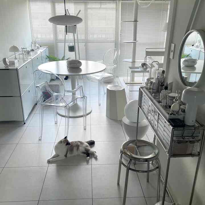 透明な椅子とキャットタワーがある白を基調としたベランダ、清潔感のあるモダンな雰囲気のインテリア