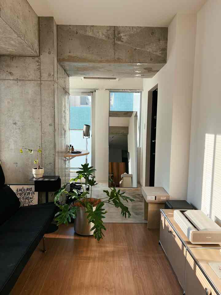 Modern living room with brown wood tone flooring and concrete wall, featuring black sofa and houseplants creating a natural atmosphere