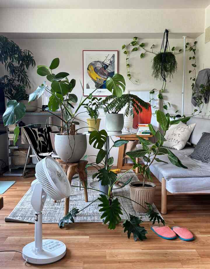 Natural color tones in living room featuring various indoor green plants creating a lively atmosphere