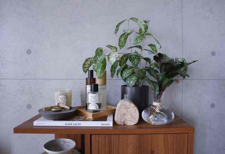 グレーのコンクリート壁を背景に、ウッド調のキャビネットの上に植物やキャンドルなどが配置されたミッドセンチュリーモダンのリビングの印象的な空間
