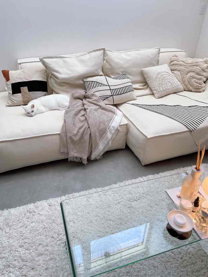 白とベージュの色調のリビング、クリーム色のソファに白い猫がいる落ち着いた雰囲気のインテリア