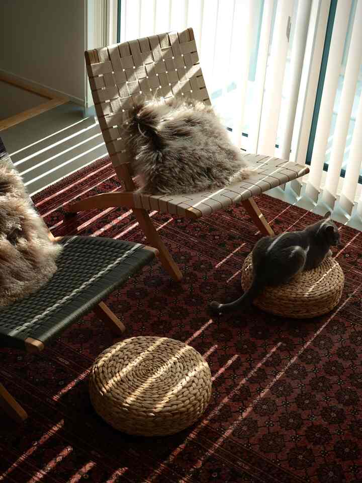 Warm beige and brown toned living space with Nordic folding chairs, vintage red rug, and a cat resting creating a cozy interior