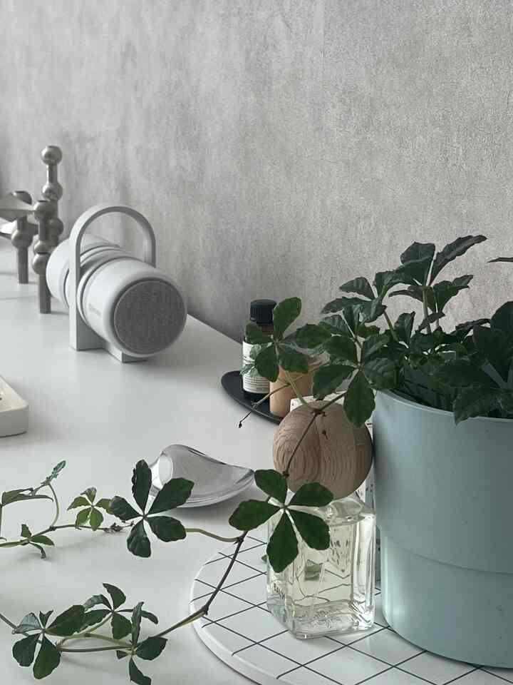 ホワイトとナチュラルな色調のミニマルなインテリア、植物と花瓶が置かれたすっきりとしたテーブル