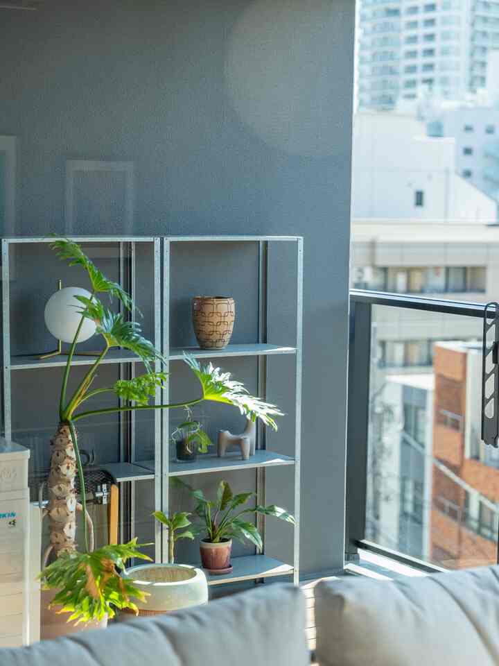 Bright white sofa and metal shelf with green plants arranged in a balcony space