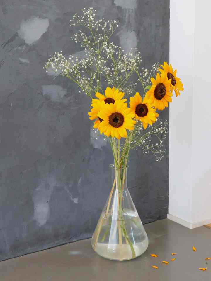 I received some sunflowers used at work. Flowers have a short lifespan. #Sunflowers