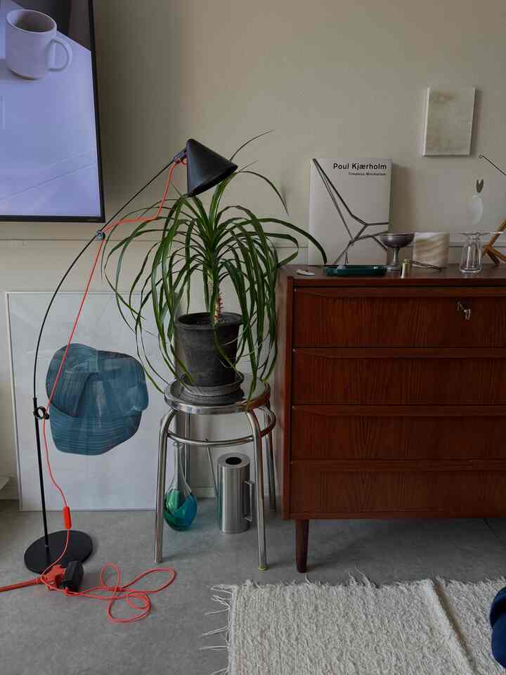 ライトグレーの床とブラウンのヴィンテージチェストが置かれた1LDKのリビング、フロアランプとスツールの上の観葉植物が配置されたナチュラルでモダンなインテリア