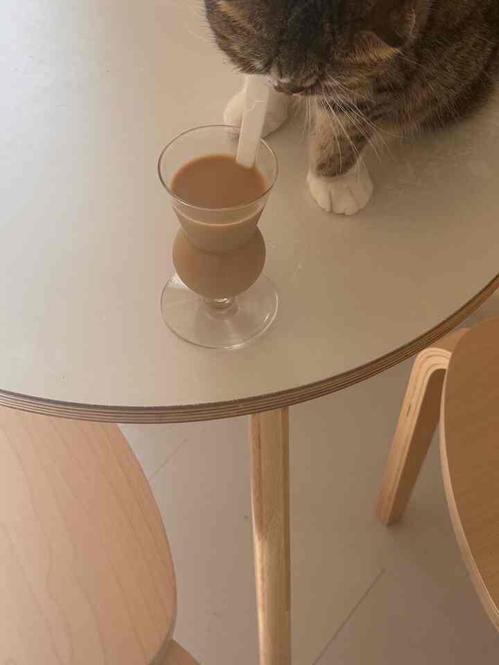木目調のダイニングテーブルとスツールが配置された、飲み物と猫の足が映る温かみのあるミニマルなカフェ風の空間