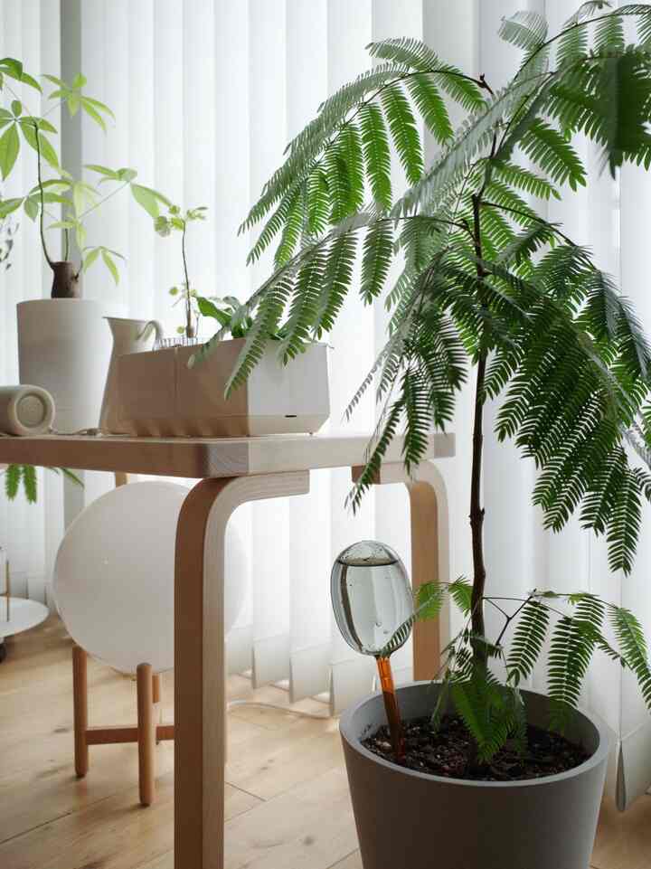 明るい白色のトーンのバルコニー、木製テーブルと多様な植物が配置されたナチュラルなインテリア