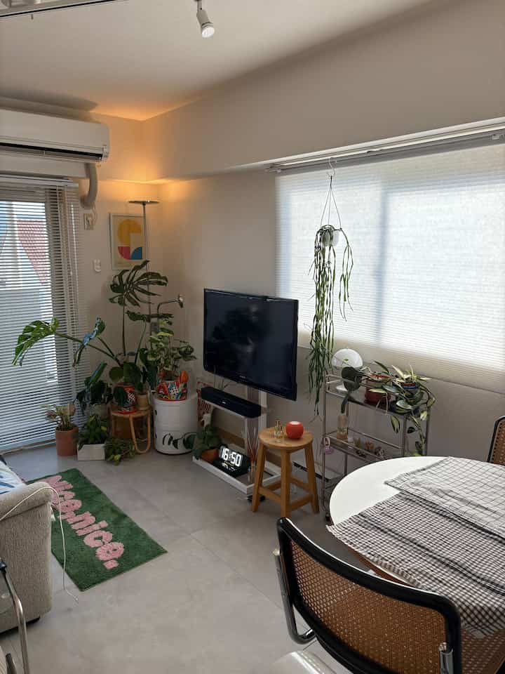 Bright beige-toned round room featuring a honeycomb shade-covered large window, round dining table, and various plants in a warm mid-century modern living room