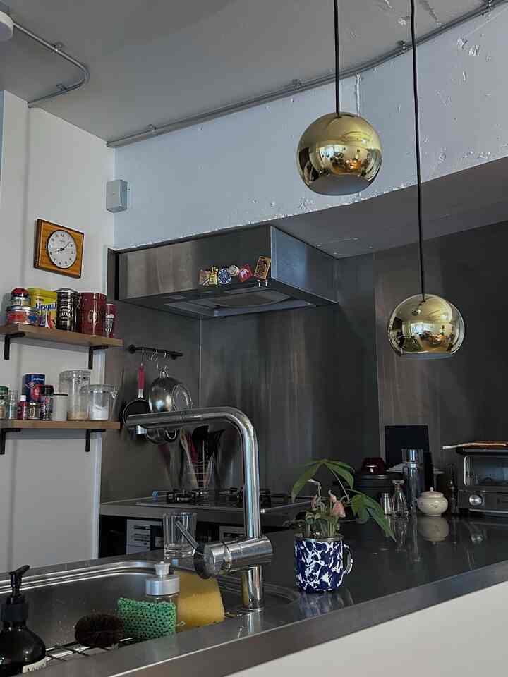 ステンレスとホワイトのトーンが調和したキッチン、調理器具や植物、ゴールドのペンダントライトが配されたモダンでシンプルなインテリア