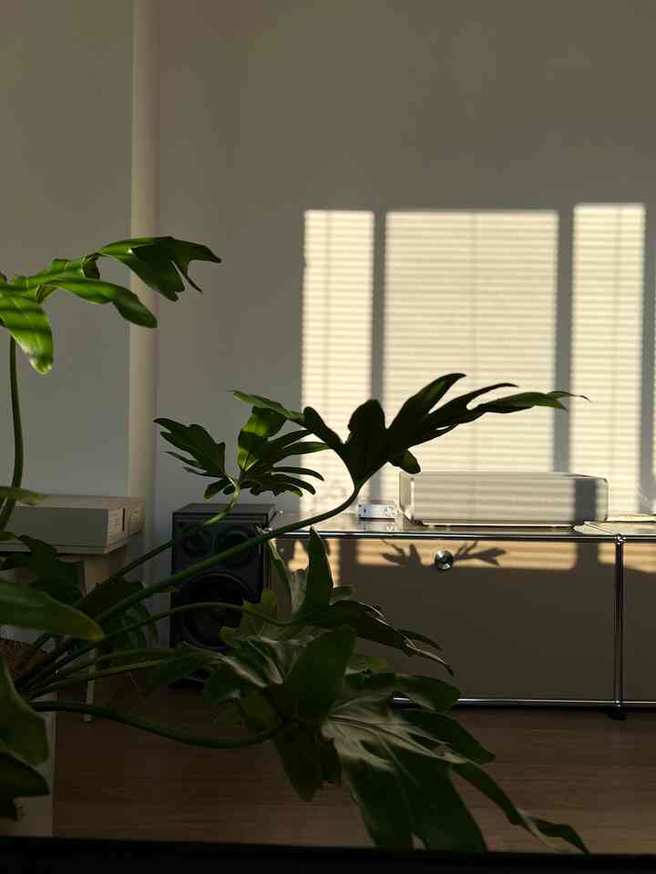Warm beige-toned living room featuring a projector with TV stand and large green leafy plants in front, creating a cozy atmosphere