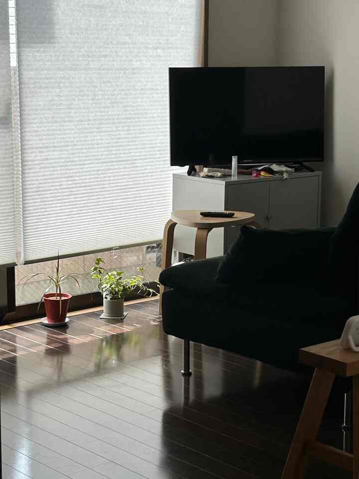 Living room with white window blinds and dark brown floor featuring sofa and TV in a compact space