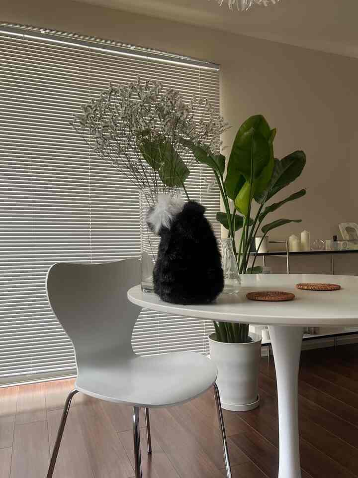 White and natural color studio apartment dining area with blinds and plants, presenting a simple cafe-style interior