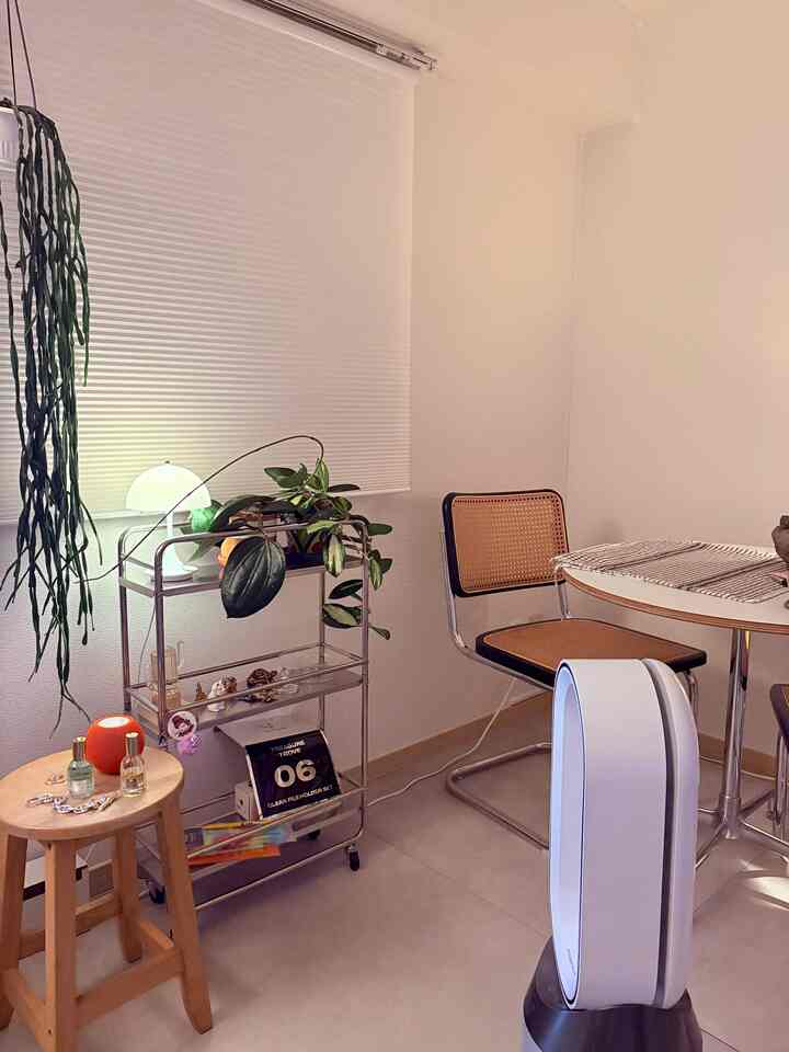White and wood tone Mid-Century Modern dining room featuring a rattan chair and round dining table with a cozy atmosphere