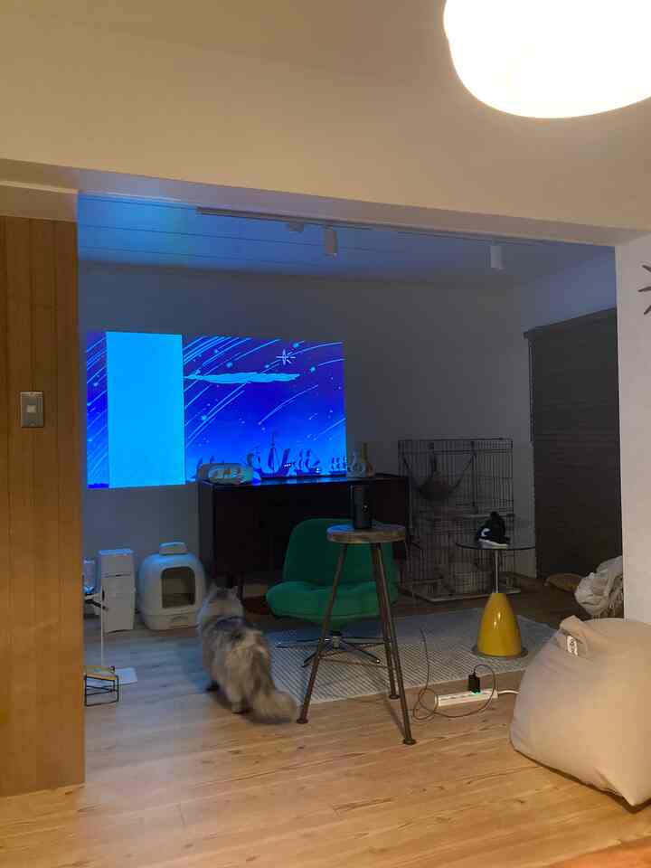 ナチュラルな木目調のフロアのリビング、緑のアームチェアと大きなプロジェクター画面、猫とビーンバッグがある雰囲気のある空間