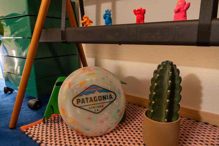 New toy 🥏

#フライングディスク #patagonia #パタゴニア #遊び #収納棚  