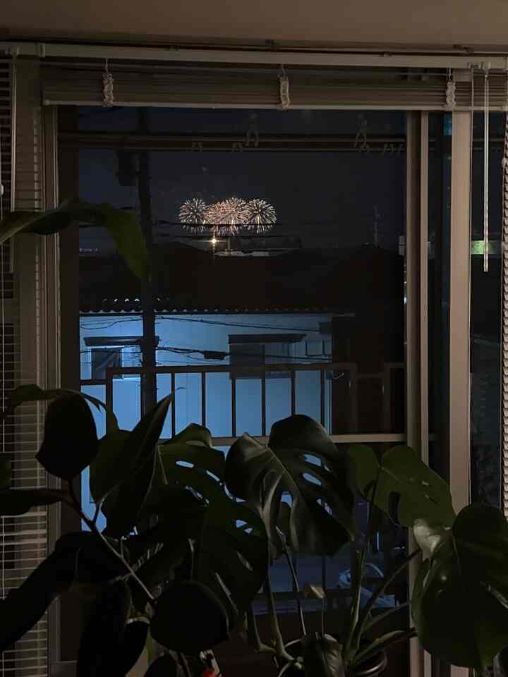 仕事から帰ってきて、窓を開けたら目の前は花火大会。
観葉植物越しに素敵な光景が見れました。
#花火 #観葉植物 #ブラインド #一人暮らし部屋 