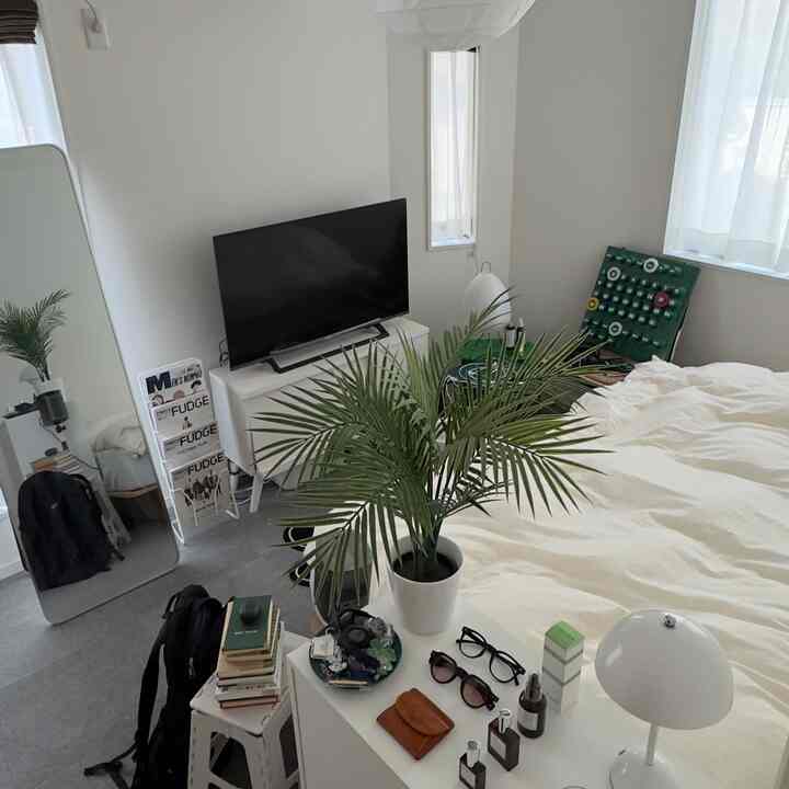 A simple studio apartment bedroom in white and green tones featuring a TV stand and large bed