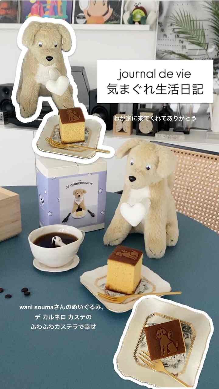 wanisoumaさんの個展を見に行きました🐶
犬好きにはたまらないイッヌのぬいに溢れた空間…！
うちに来てくれるならこの子がいいなぁと思っていた第一希望の子が来てくれました🥲🤍嬉しい…！

緊張気味でずっと心臓出てます😂笑
カステラも可愛くておいしくて、嬉しいおみやげになりました🫶

#ぬいぐるみ #一点もの #ダイニング 