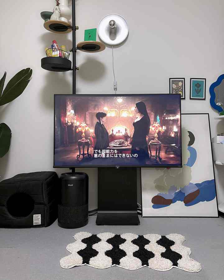 Monotone and black-toned living room for single household in an 8-tatami space featuring a TV stand and rug creating a cozy home cinema area