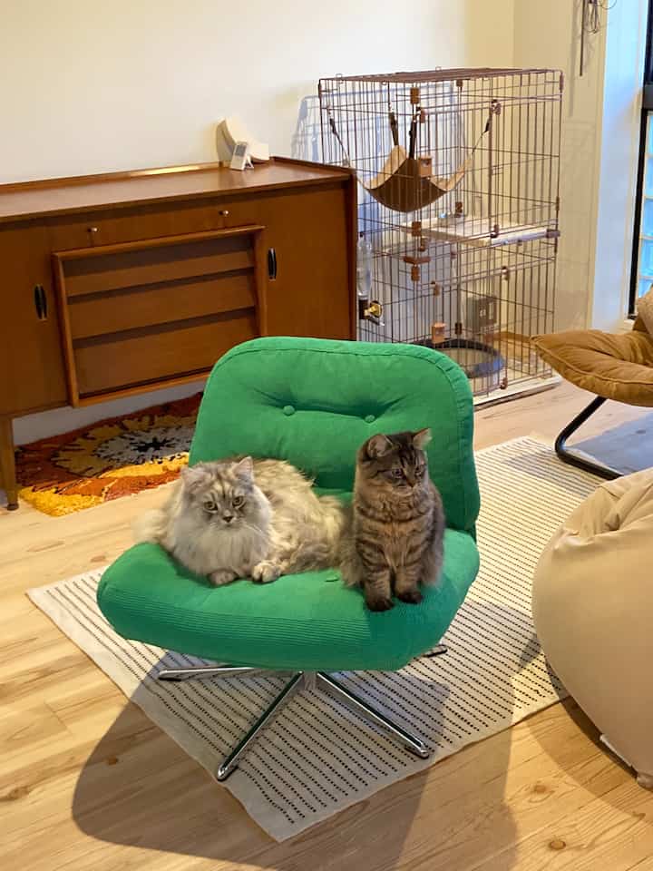 #リビングインテリア
#IKEA #IKEA家具 
#リノベーション
#リノベマンション